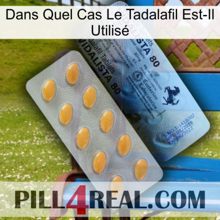 Dans Quel Cas Le Tadalafil Est-Il Utilisé 44